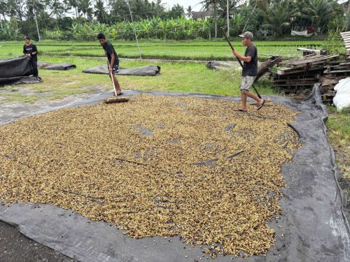 Bali Karana - Szemes kávé, világos pörkölés - 1000g