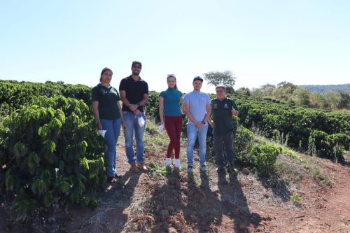 Brazil Fazenda Guariroba - Szemes kávé, világos pörkölés – 1000g 