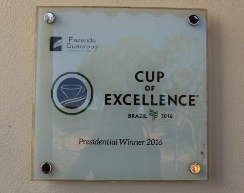 Brazil Fazenda Guariroba - Szemes kávé, világos pörkölés – 1000g 