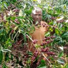 Coffee Lover Csomag – 3x250g