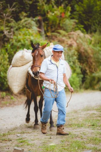 Colombia Manos Juntas - Szemes kávé, világos pörkölés - 250g