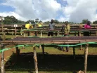 Ethiopia Lala Salama - Koffeinmentes szemes kávé, világos pörkölés - 1000g