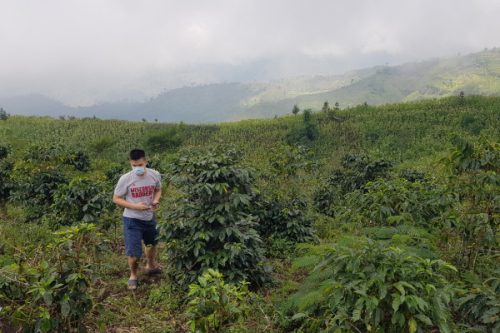 Felfedező Csomag - 5x250g