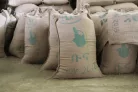 Felfedező Csomag - 5x250g