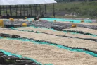 Felfedező Csomag - 5x250g