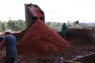 Kenya Muthuthiini - Szemes kávé, világos pörkölés - 250g