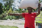 Papua New Guinea Kindeng Mill – Szemes kávé, világos pörkölés - 1000g