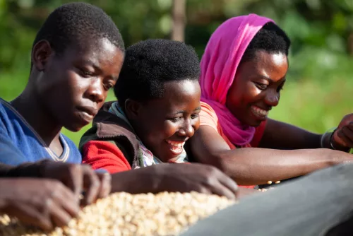 Rwanda Abadatezuka - Szemes kávé, világos pörkölés - 1000g