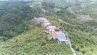 Sumatra Asman Gayo- Szemes kávé, világos pörkölés - 1000g